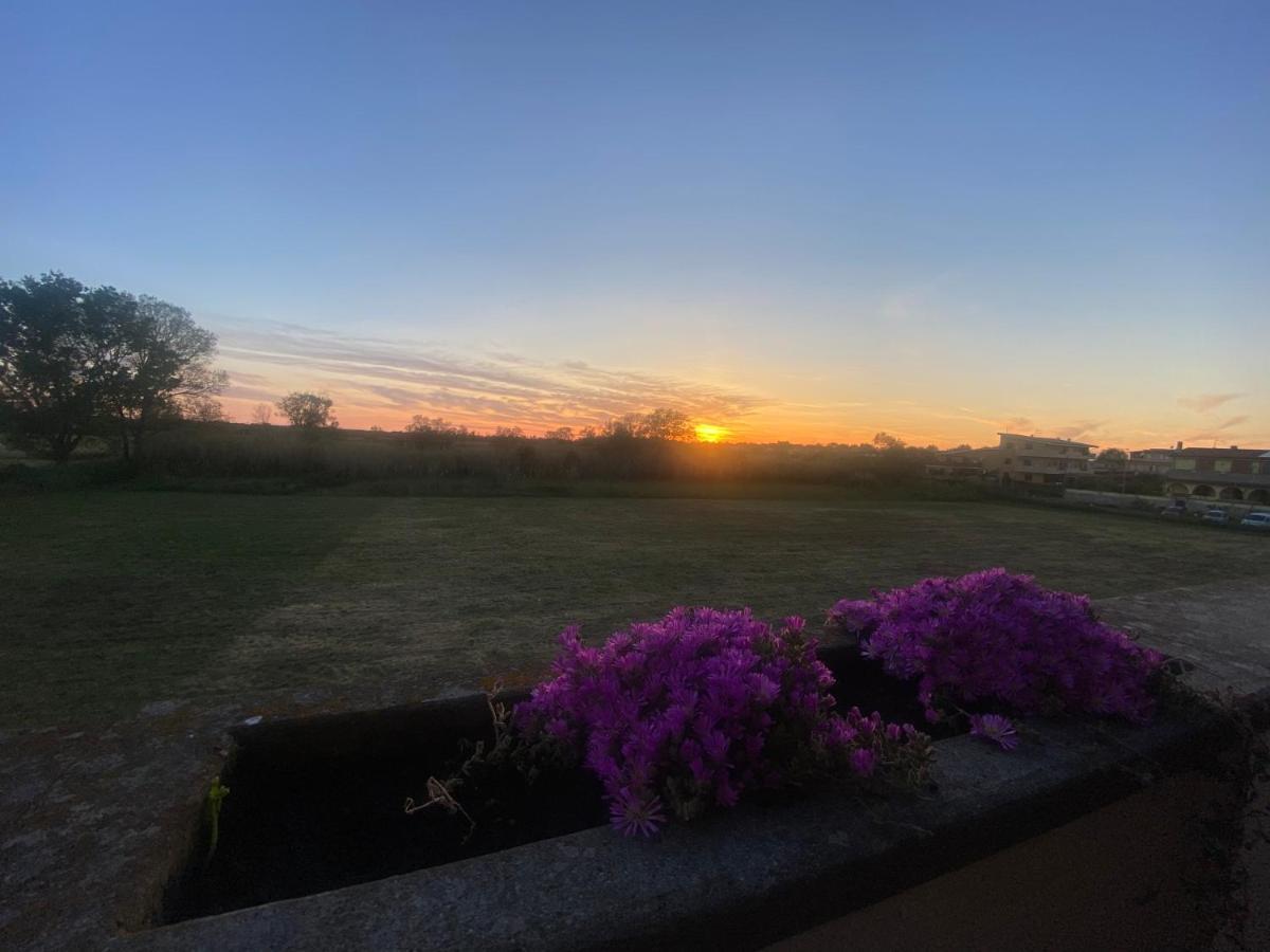 I 4 Mori Bed and Breakfast Fiumicino Exteriör bild